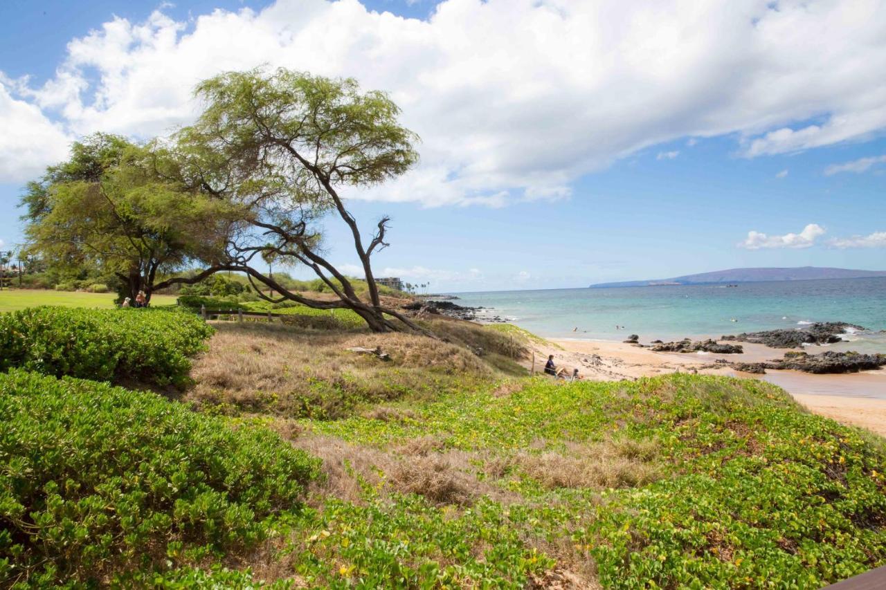 Willa Hale Kamaole 254 Wailea  Zewnętrze zdjęcie